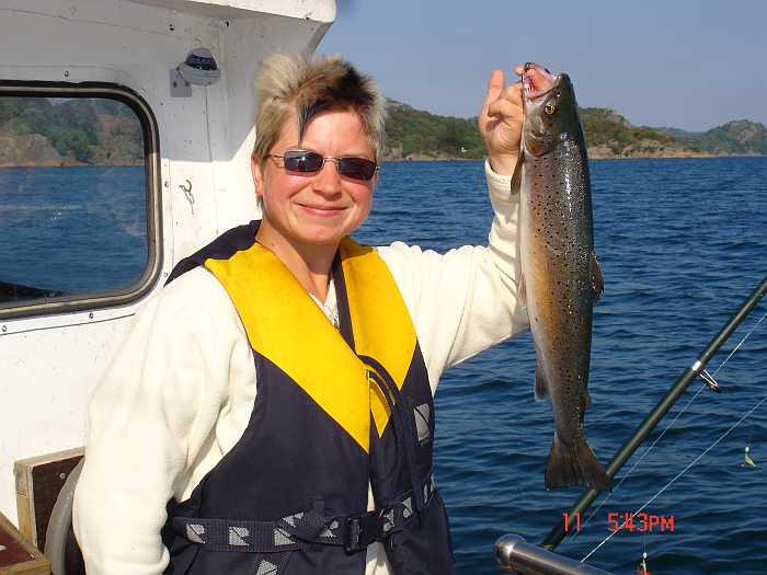 Die gibt es reichlich direkt vor dem Haus im Lyndalsfjord - Meerforelle Die gibt es reichlich direkt vor dem Haus im Lyndalsfjord - Meerforelle